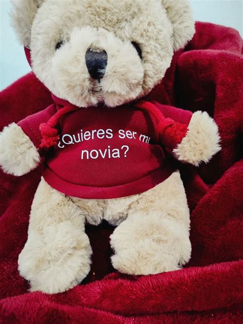 peluches para tu novio